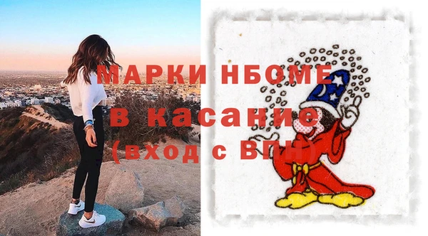 гидра Гусь-Хрустальный