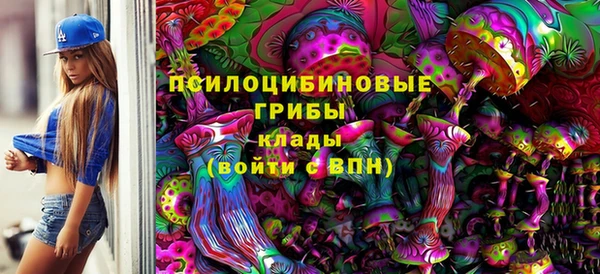 гидра Гусь-Хрустальный