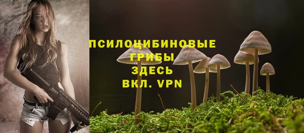 гидра Гусь-Хрустальный