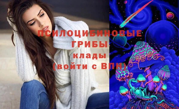 спиды Гусиноозёрск