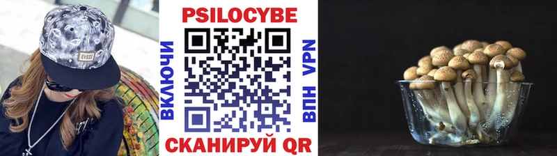 Галлюциногенные грибы Psilocybe Брянск